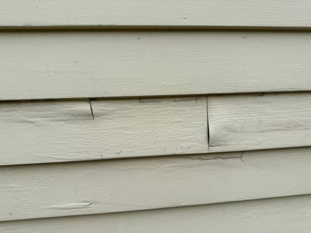 How To Choose The Right Materials for Your Siding Installation in 'North Pearsall, TX